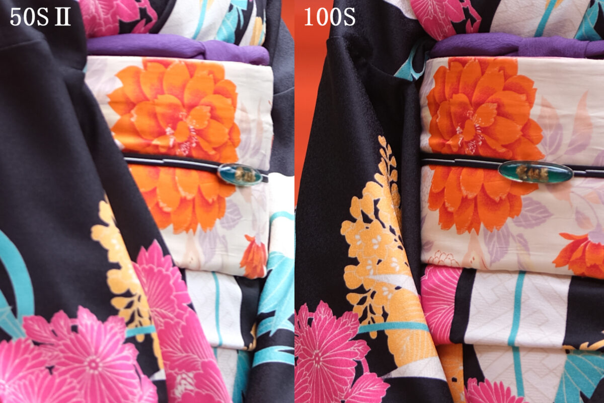 作例】GFX100SとGFX50SⅡの画像比較【富士フイルム】 | デジカメブログ 